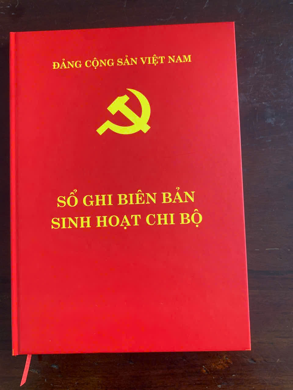 Ảnh hồ sơ