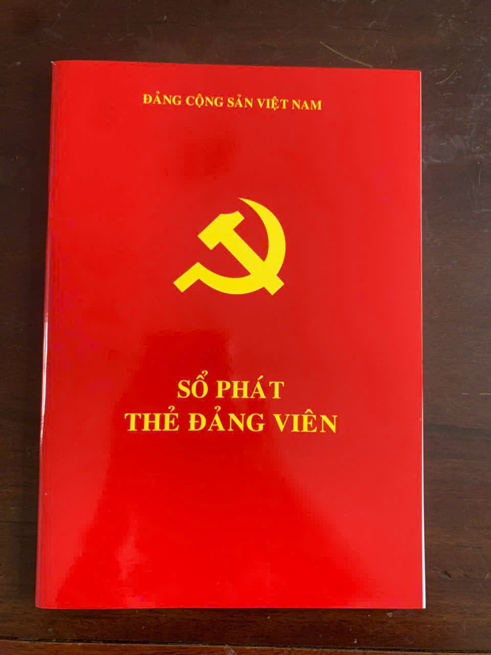 Ảnh hồ sơ