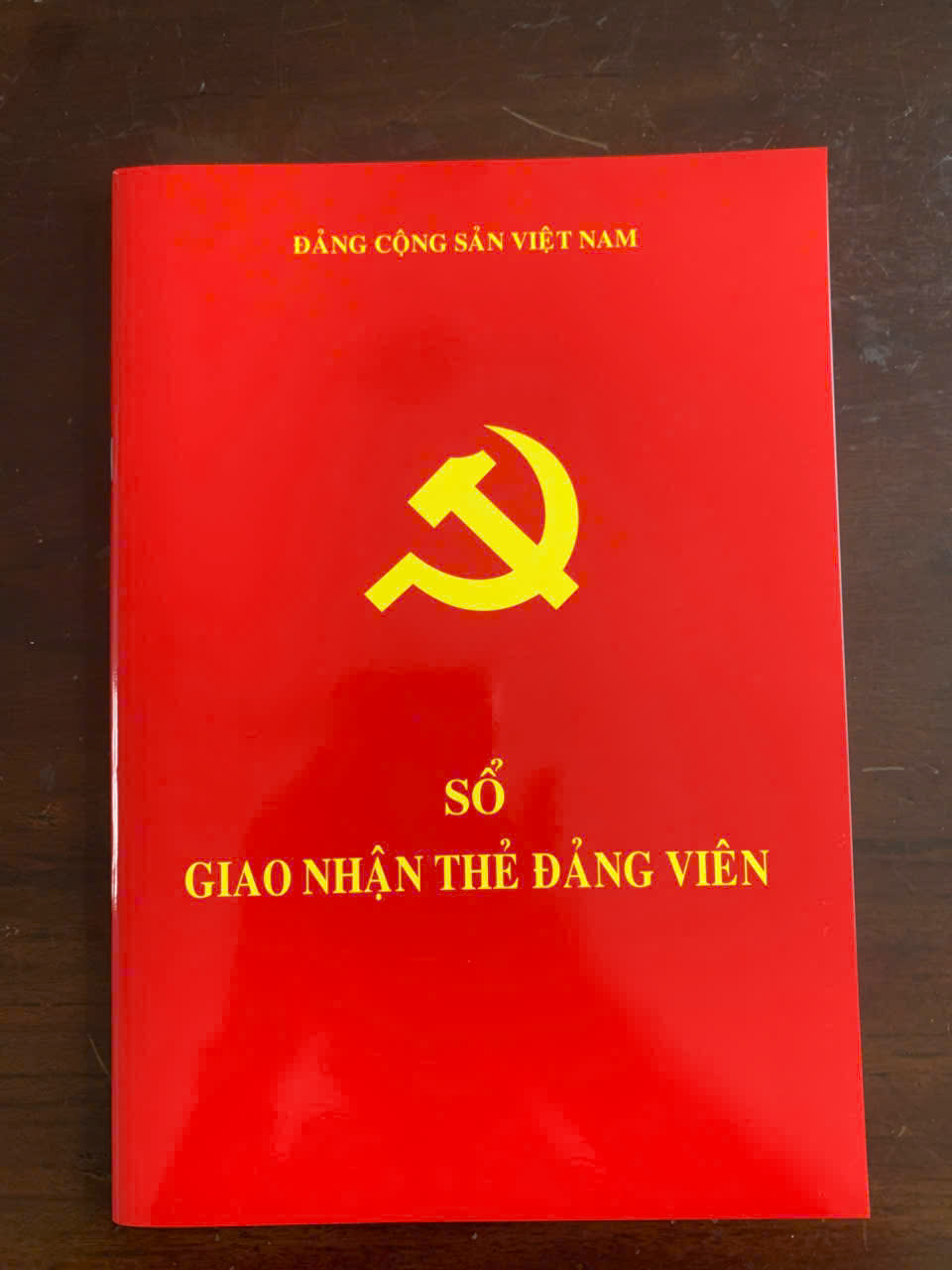 Ảnh hồ sơ