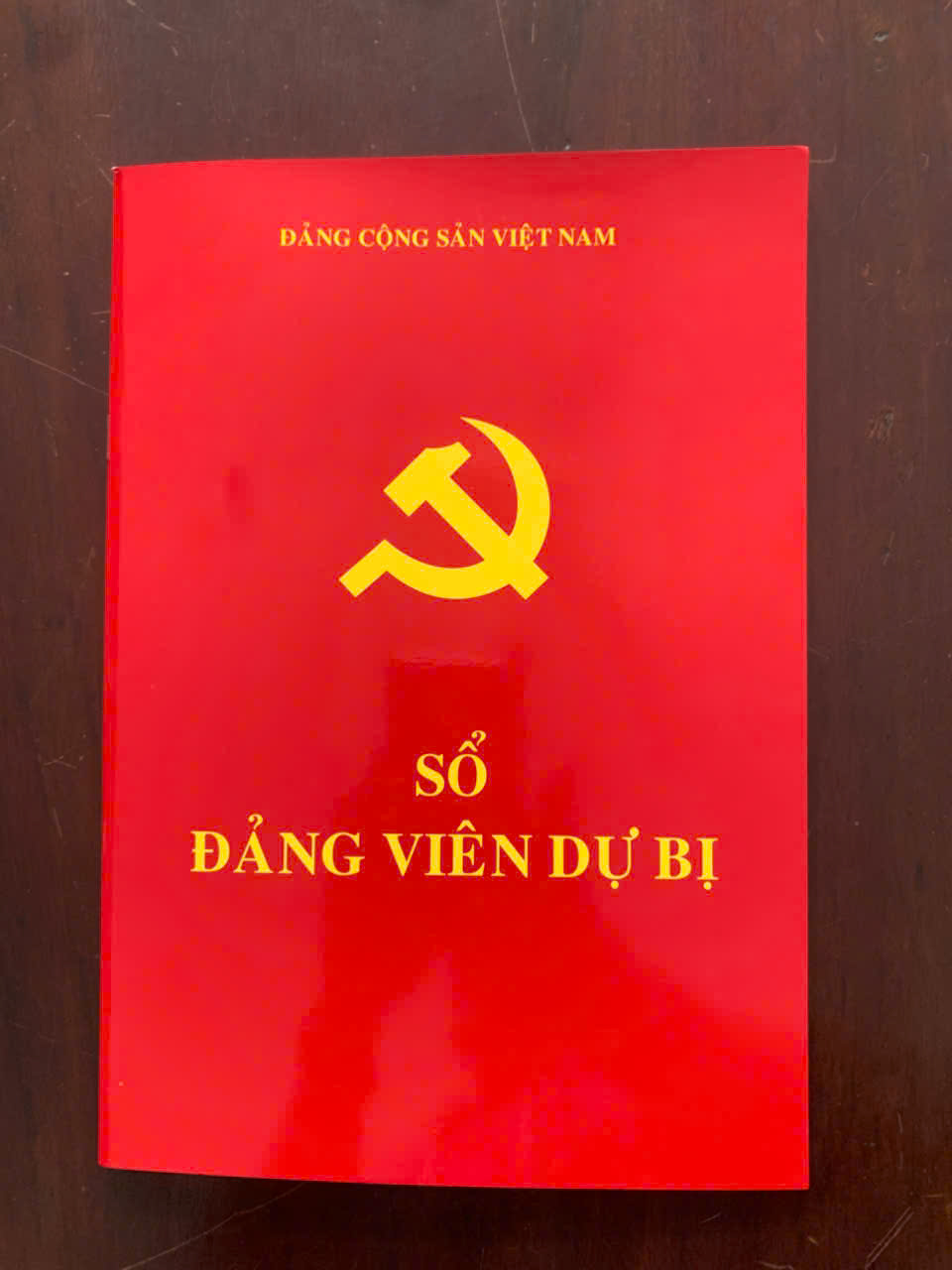 Ảnh hồ sơ